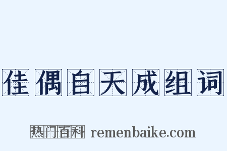 佳偶自天成组词是什么意思的图片